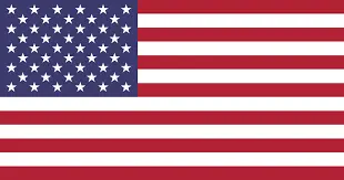 american flag-Surrey